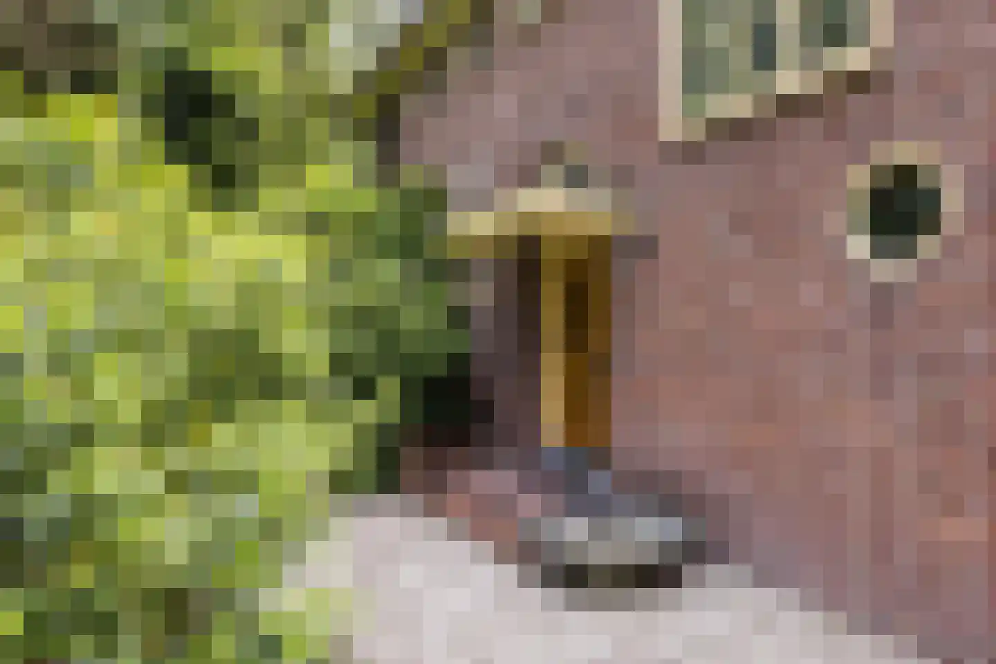 't Oost 56 Oosterwolde thumbnail 8
