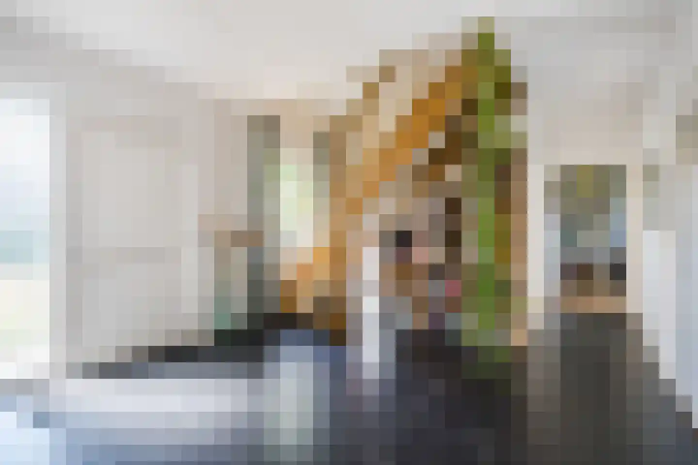 't Oost 70 Oosterwolde thumbnail 18