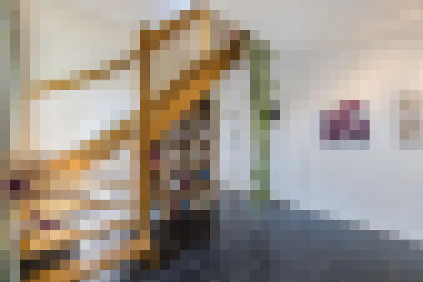 't Oost 70 Oosterwolde thumbnail 25