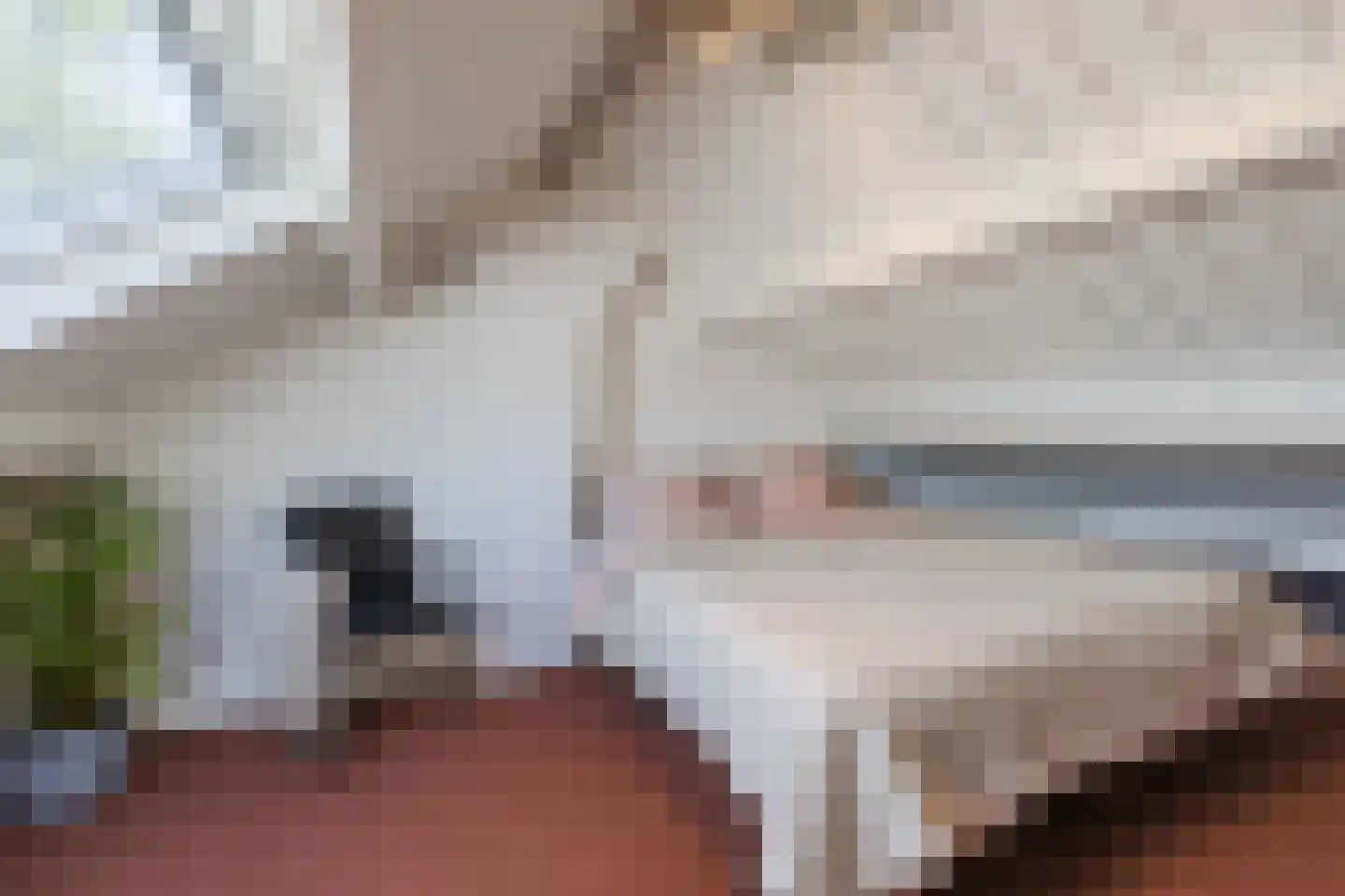 't Oost 70 Oosterwolde thumbnail 31