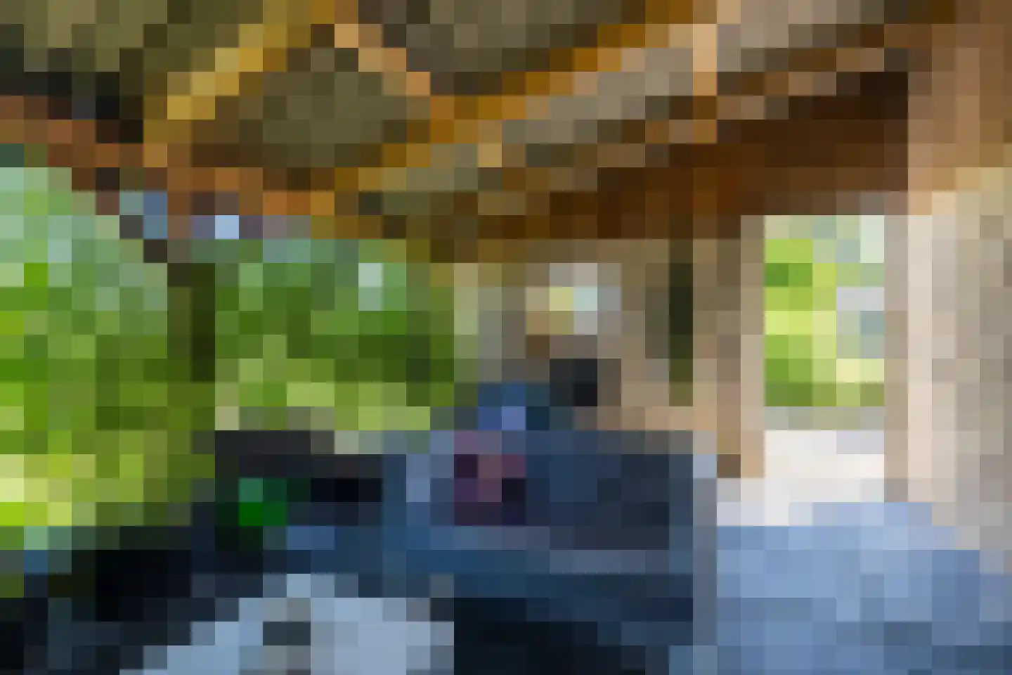 't Oost 70 Oosterwolde thumbnail 46