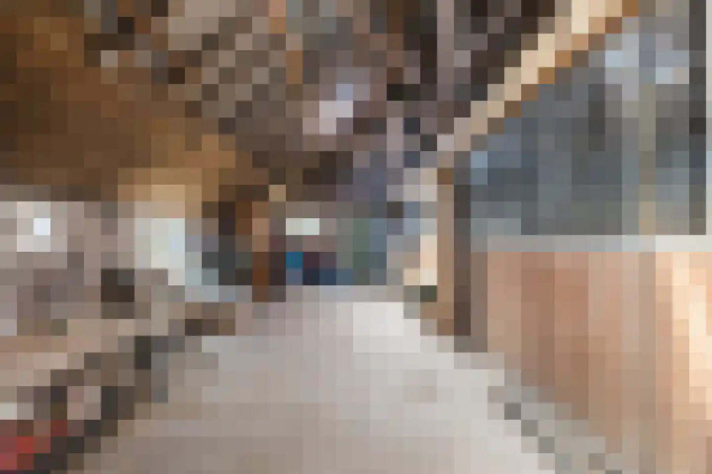 't Oost 70 Oosterwolde thumbnail 52