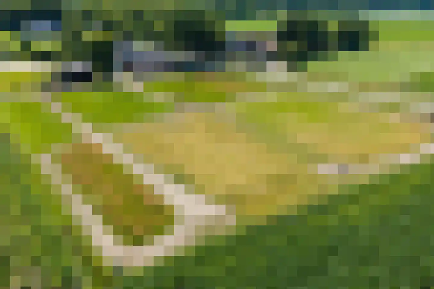 't Oost 70 Oosterwolde thumbnail 59