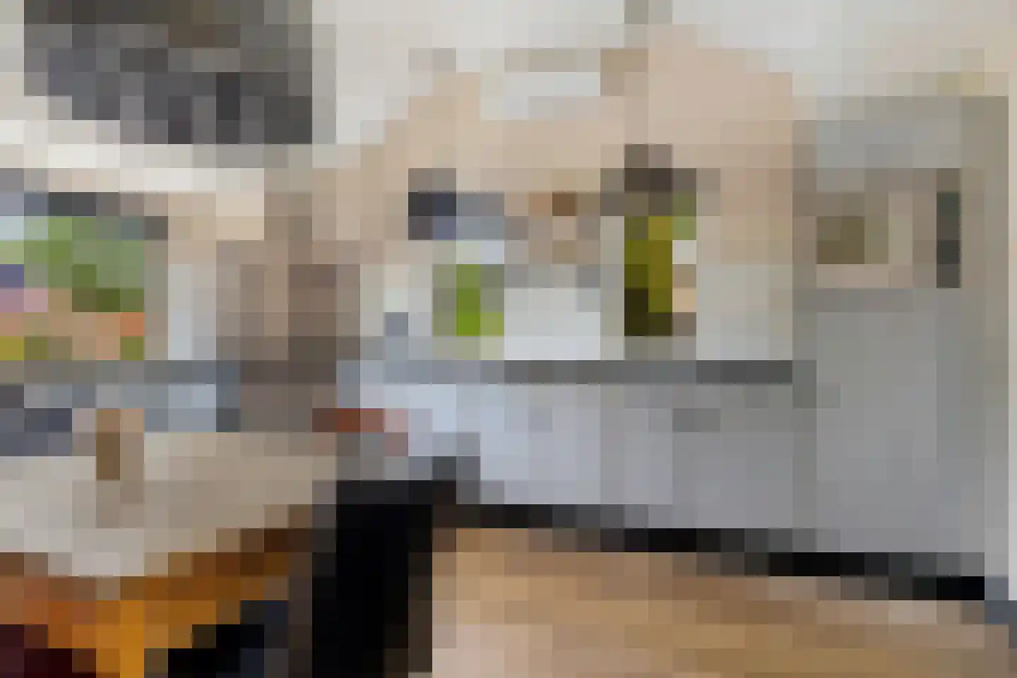 't Oude Loo 20 Emmen thumbnail 10