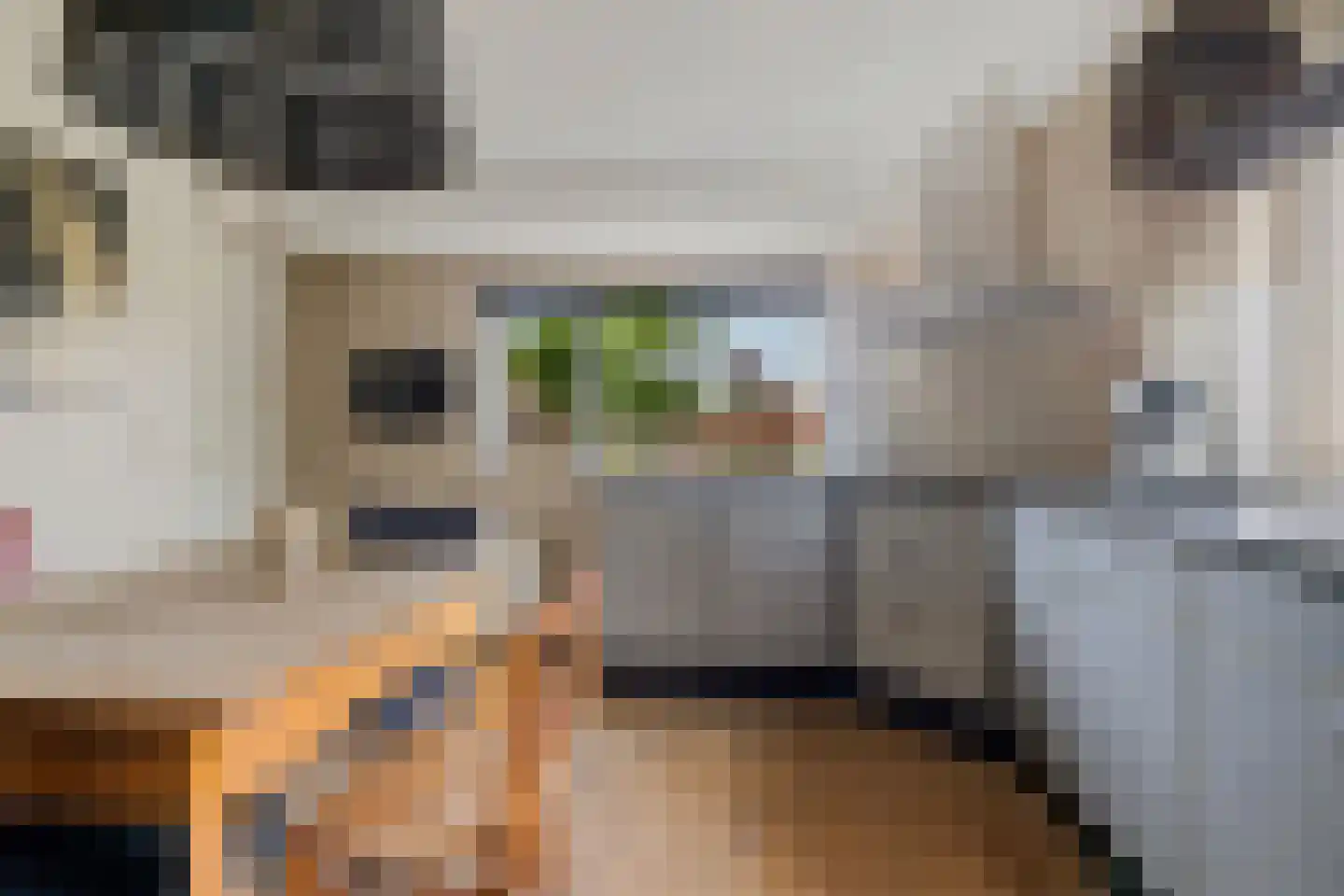 't Oude Loo 20 Emmen thumbnail 12