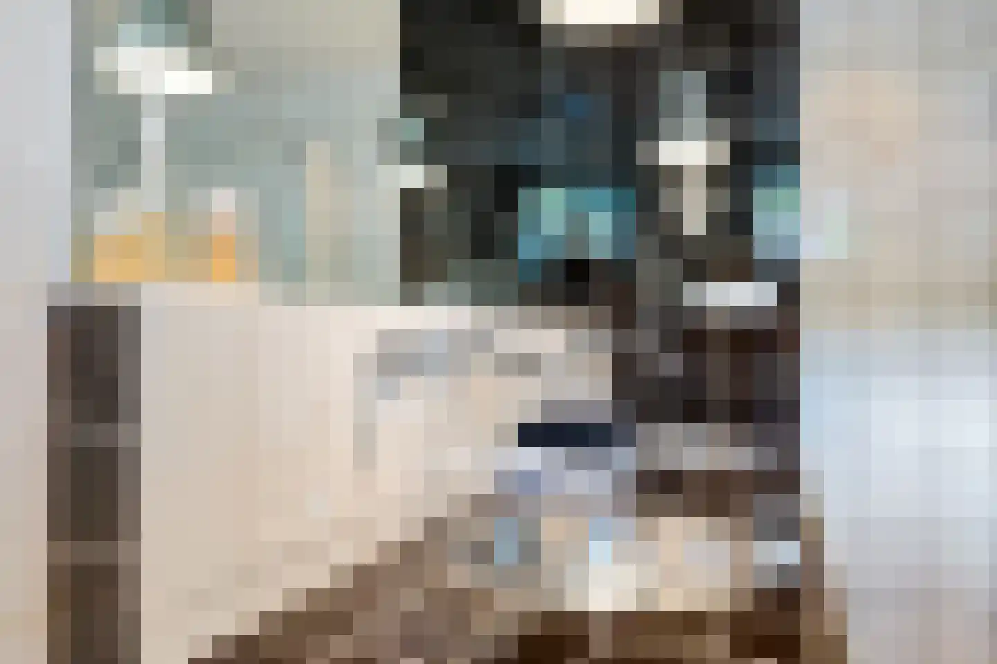 't Oude Loo 20 Emmen thumbnail 17