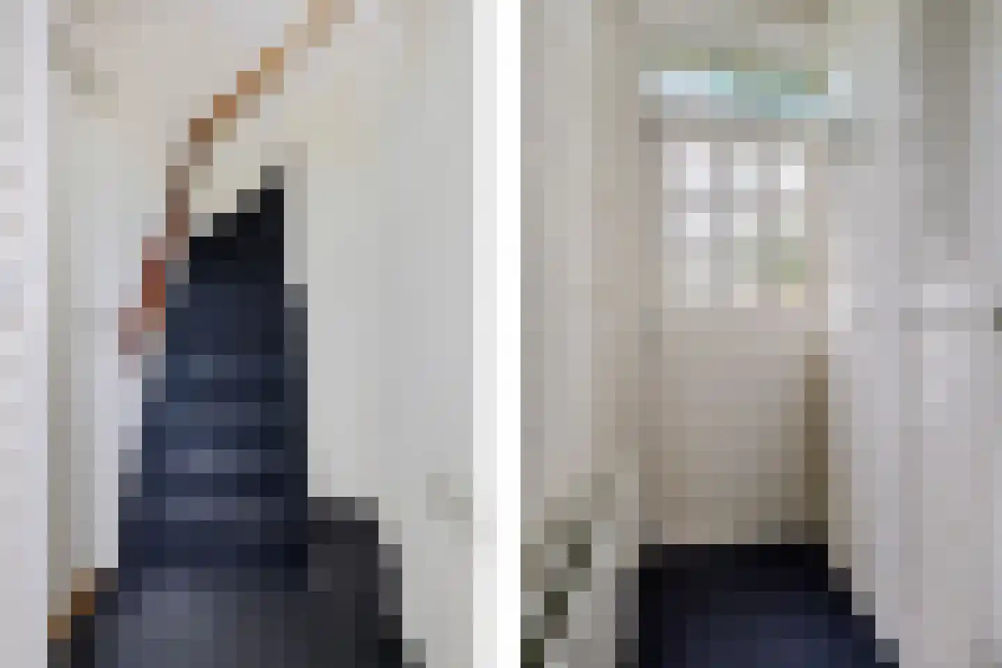 't Oude Loo 20 Emmen thumbnail 19