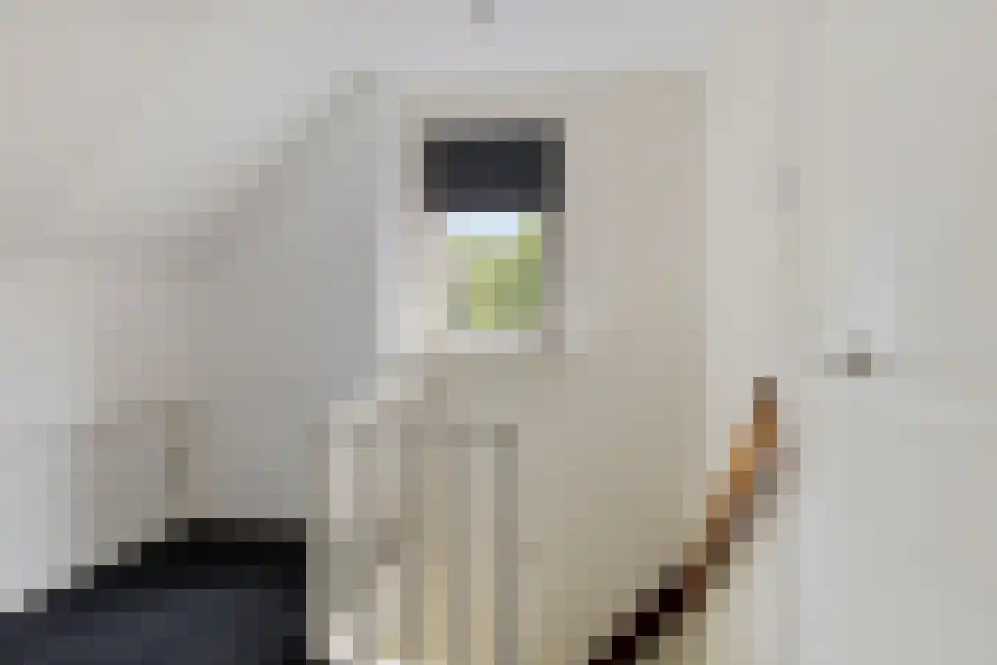 't Oude Loo 20 Emmen thumbnail 20