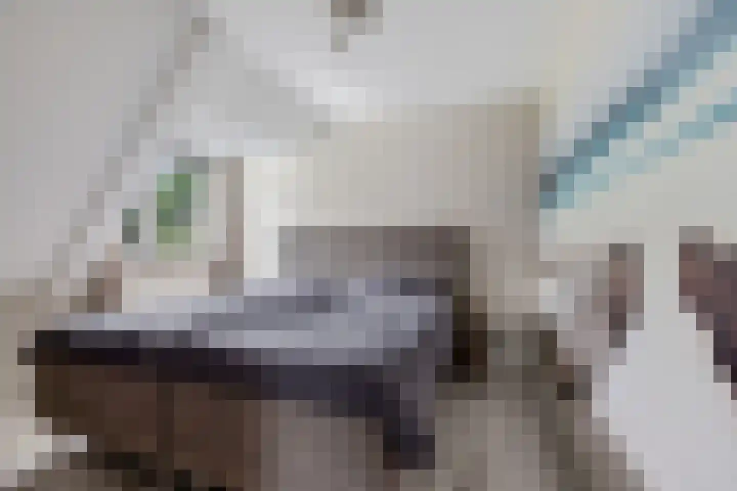 't Oude Loo 20 Emmen thumbnail 21