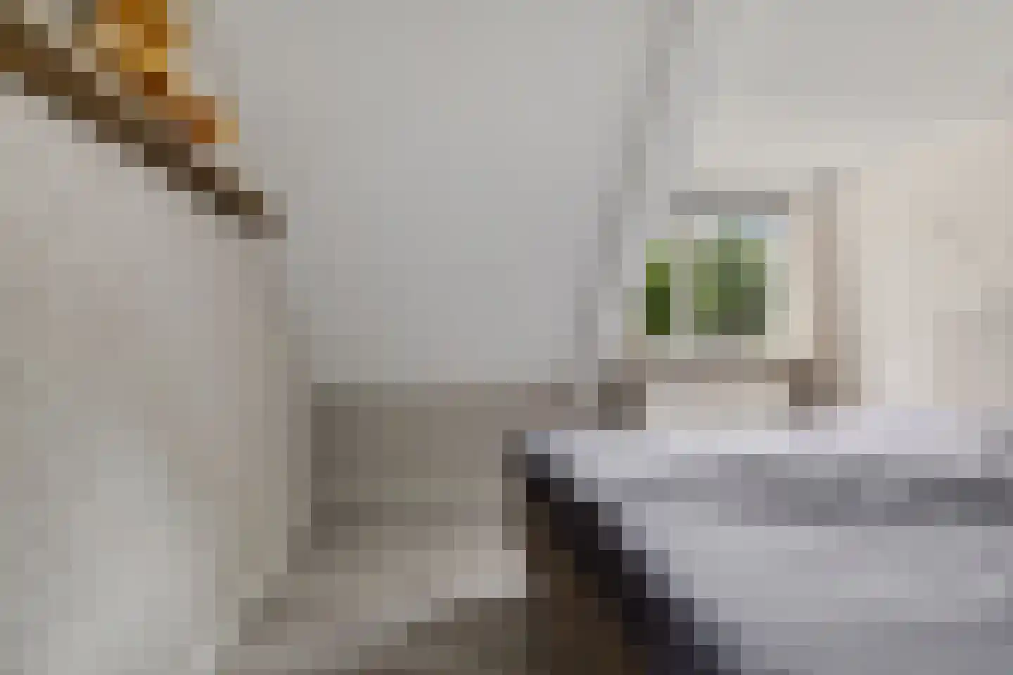 't Oude Loo 20 Emmen thumbnail 22