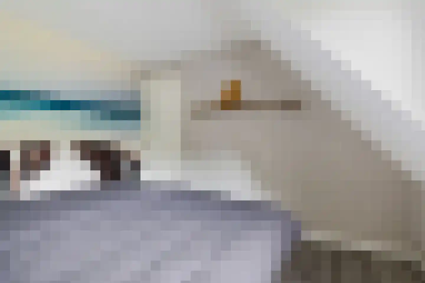 't Oude Loo 20 Emmen thumbnail 23