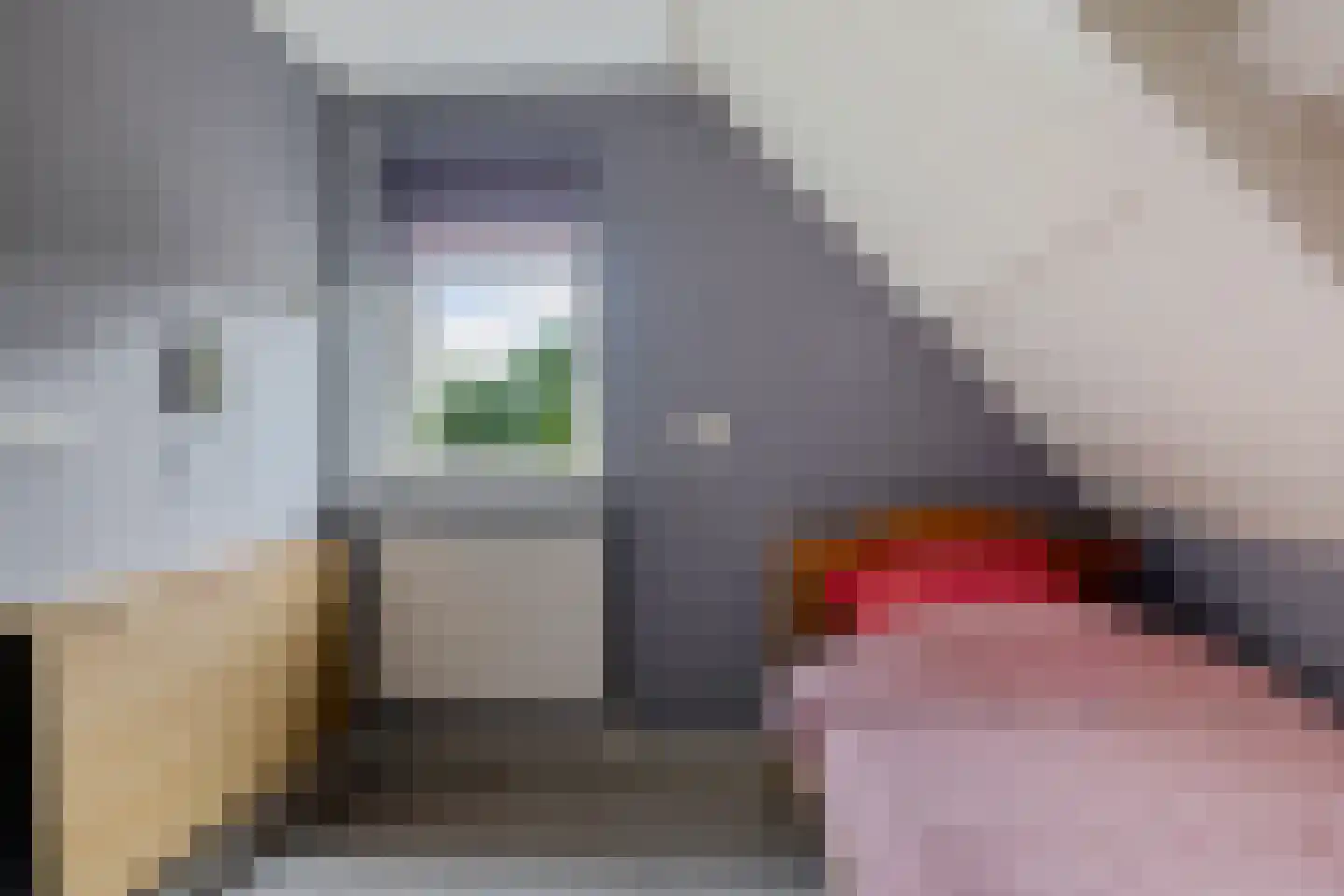 't Oude Loo 20 Emmen thumbnail 25