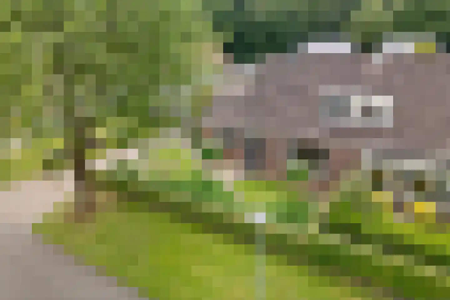 't Oude Loo 20 Emmen thumbnail 29