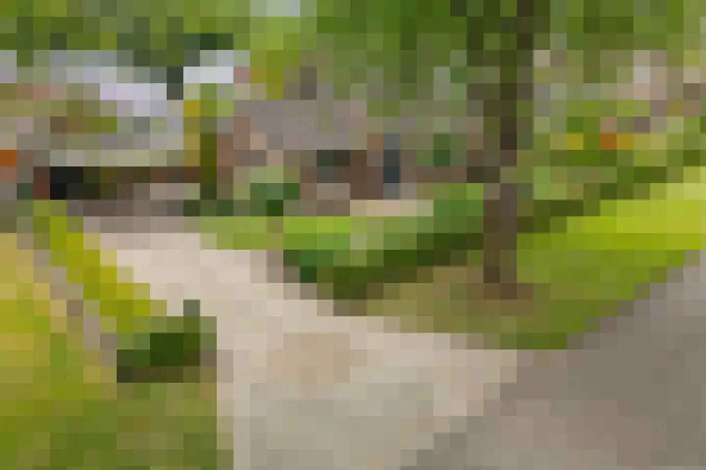't Oude Loo 20 Emmen thumbnail 32