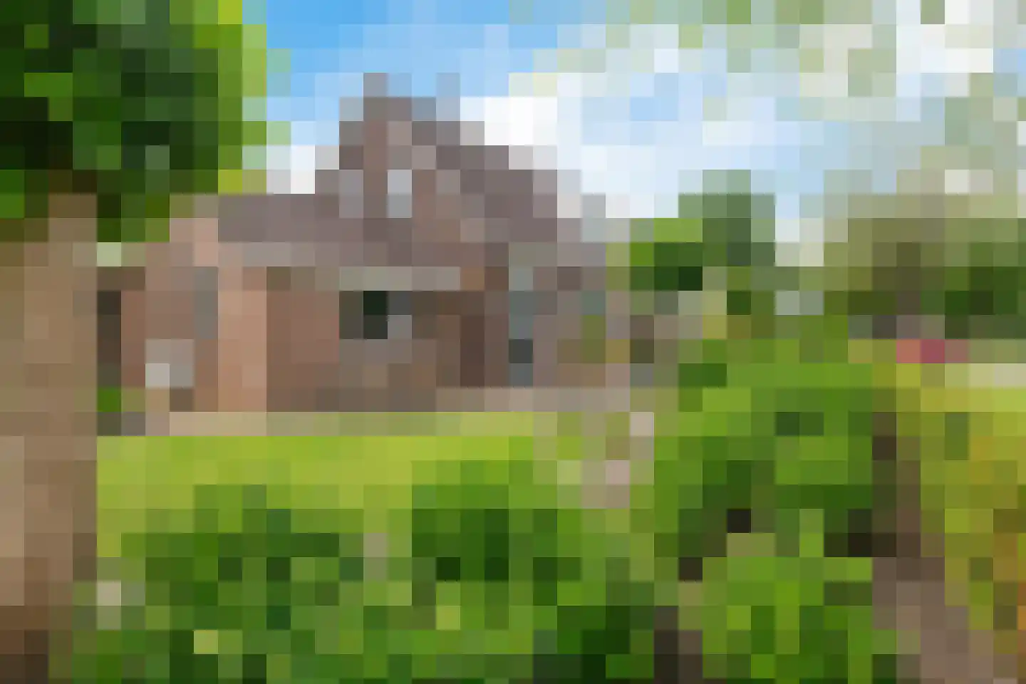 't Oude Loo 20 Emmen thumbnail 34