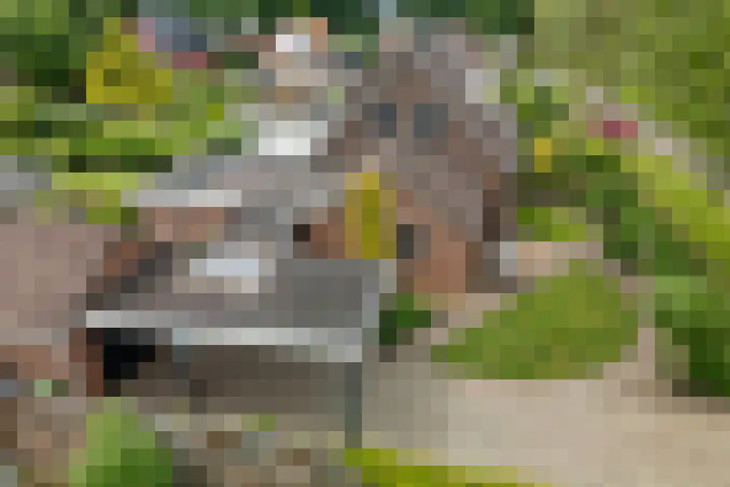 't Oude Loo 20 Emmen thumbnail 35