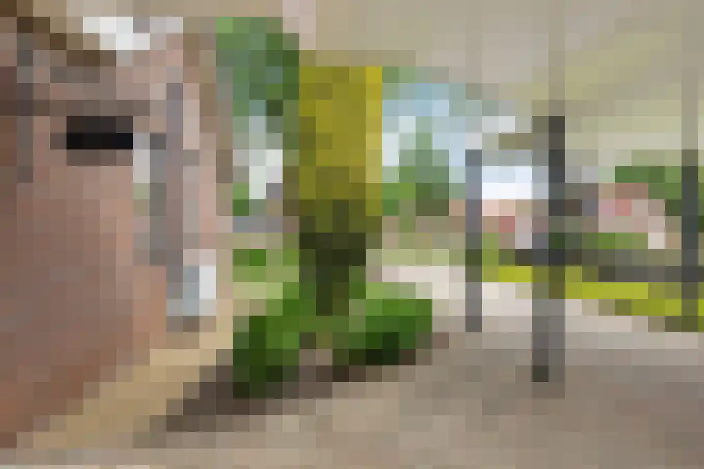 't Oude Loo 20 Emmen thumbnail 36