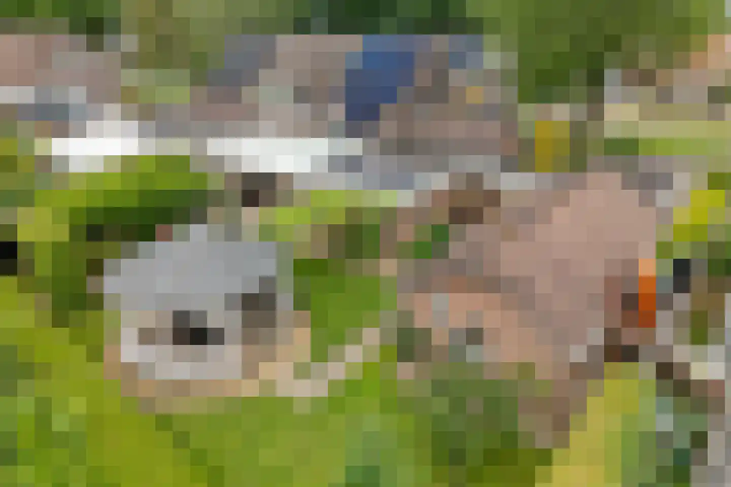't Oude Loo 20 Emmen thumbnail 38
