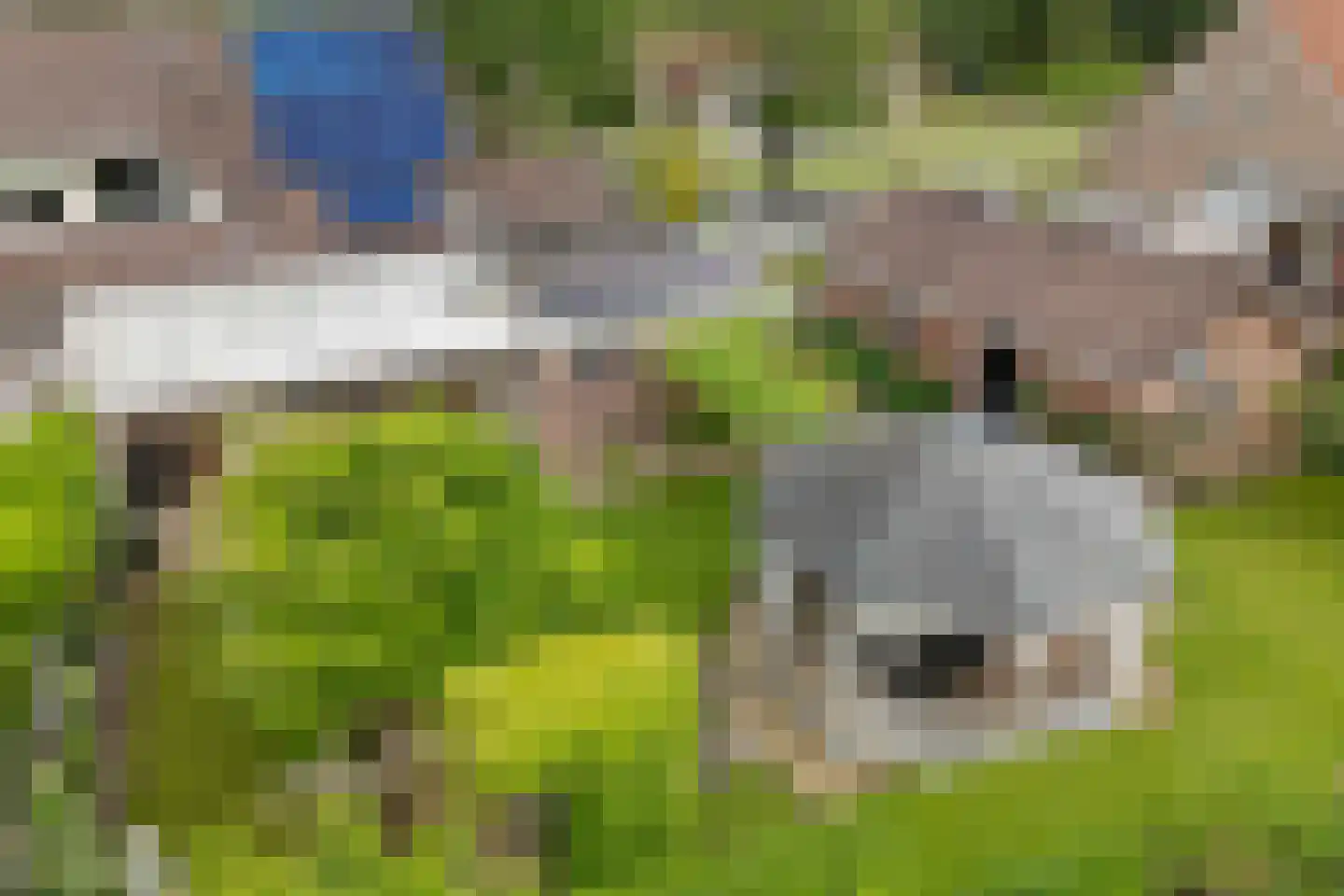 't Oude Loo 20 Emmen thumbnail 39