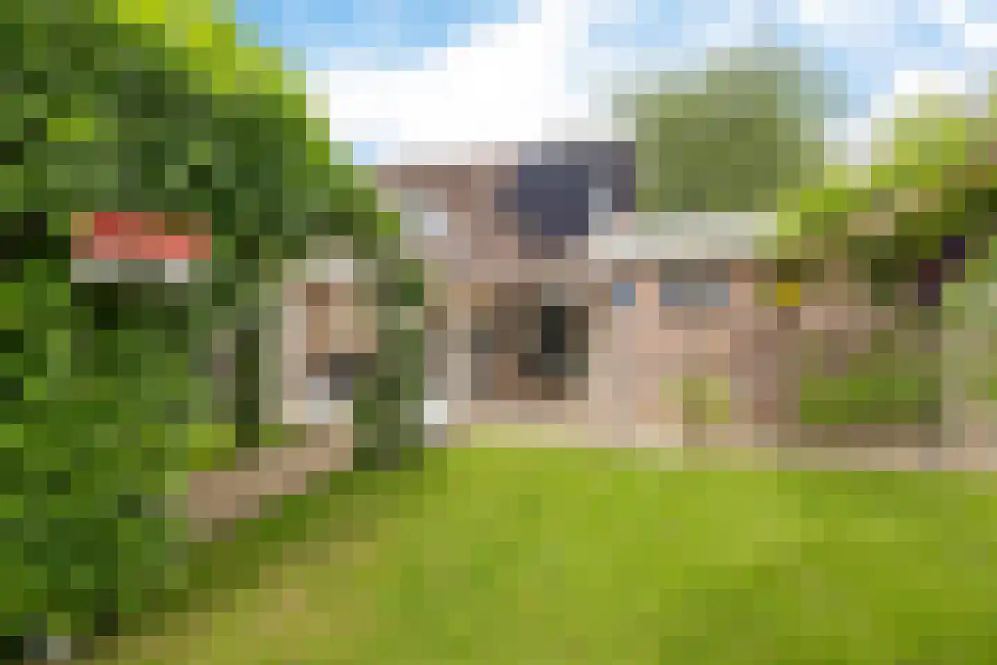 't Oude Loo 20 Emmen thumbnail 40