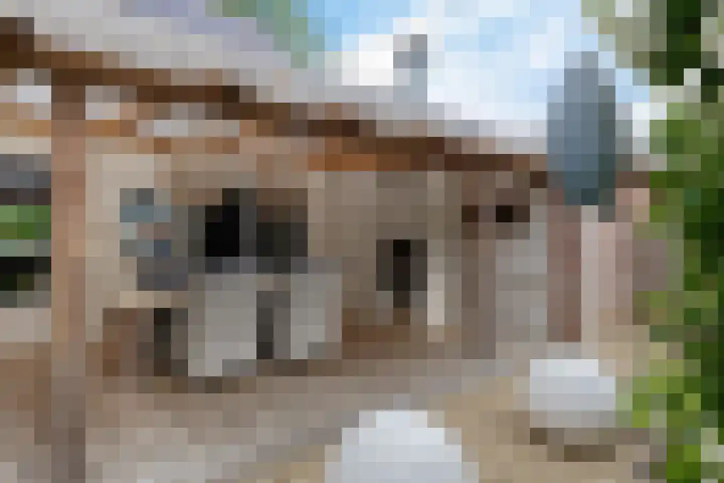 't Oude Loo 20 Emmen thumbnail 41