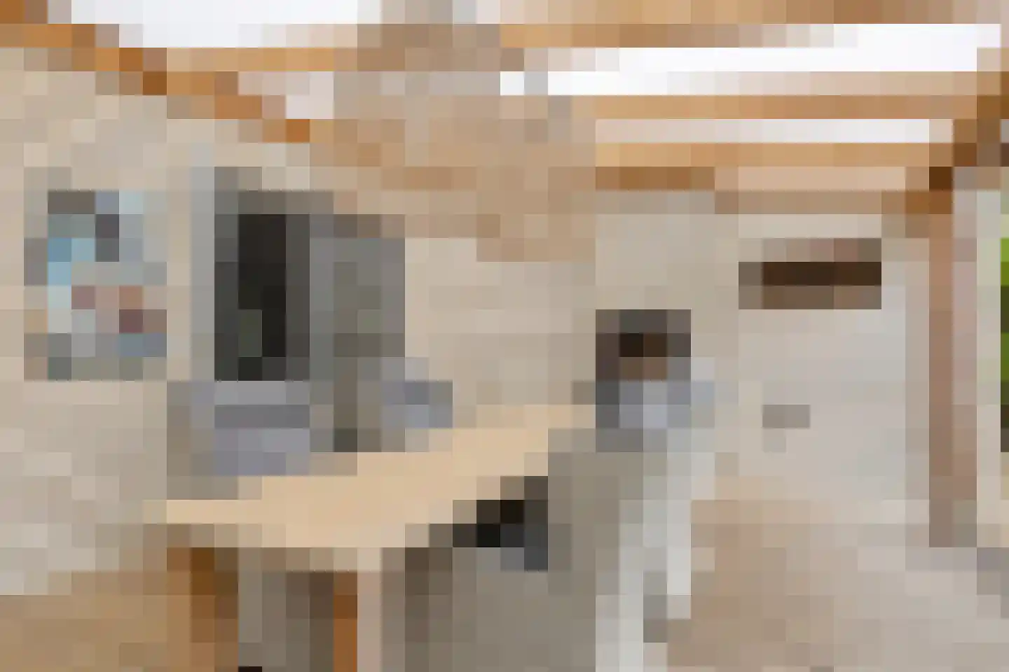 't Oude Loo 20 Emmen thumbnail 42