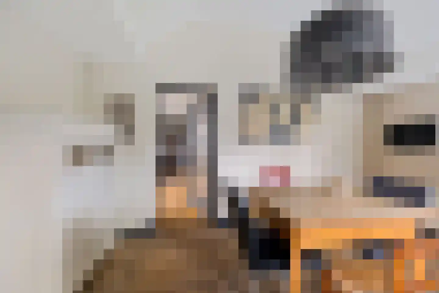 't Oude Loo 20 Emmen thumbnail 9
