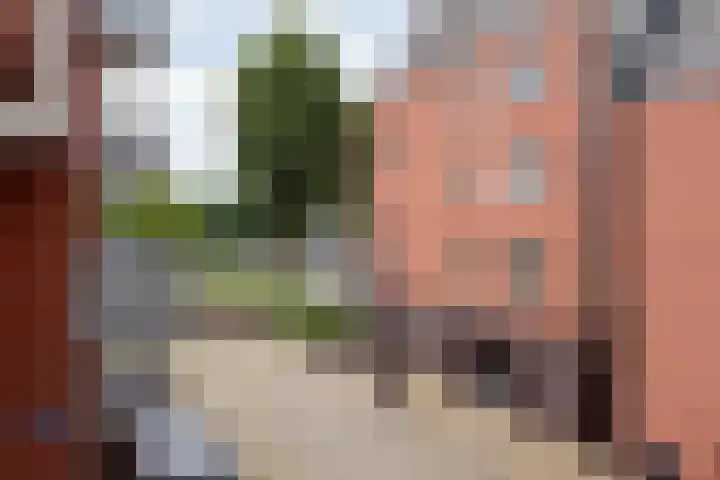 't Oude Sluisje 6 Hoorn thumbnail 10