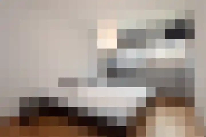 't Oude Sluisje 6 Hoorn thumbnail 12