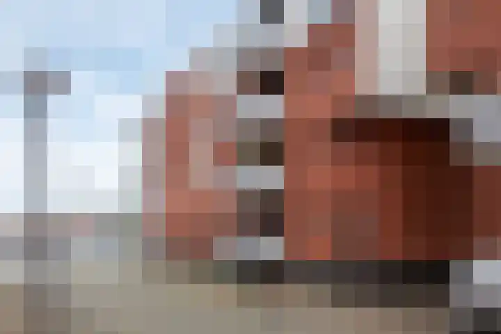 't Oude Sluisje 6 Hoorn thumbnail 24