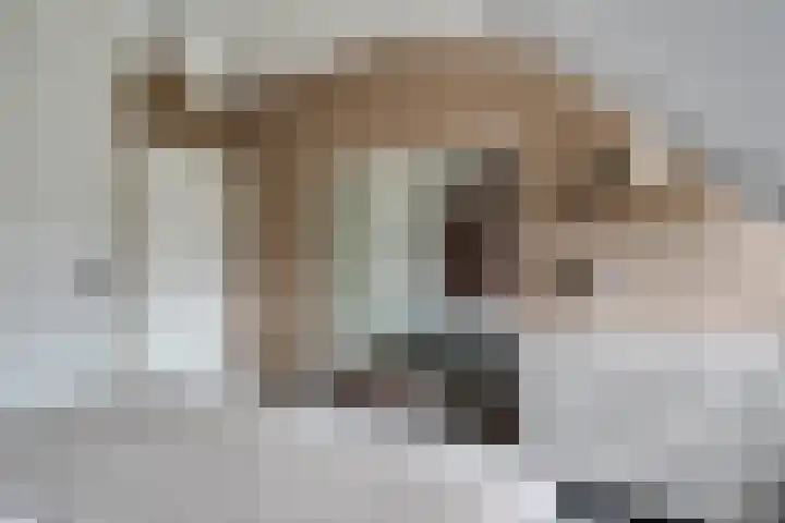 't Ouwe Hof 35 Hensbroek thumbnail 18