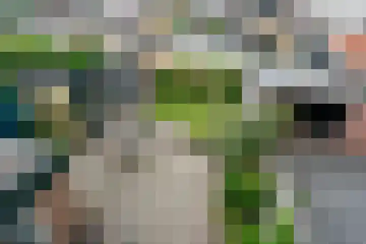 't Ouwe Hof 35 Hensbroek thumbnail 34