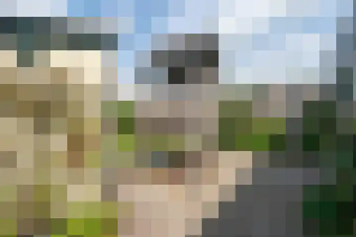 't Ouwe Hof 35 Hensbroek thumbnail 40