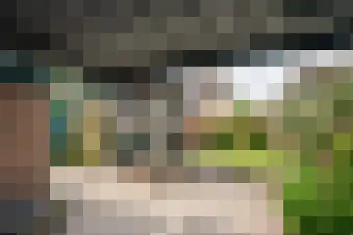 't Ouwe Hof 35 Hensbroek thumbnail 42