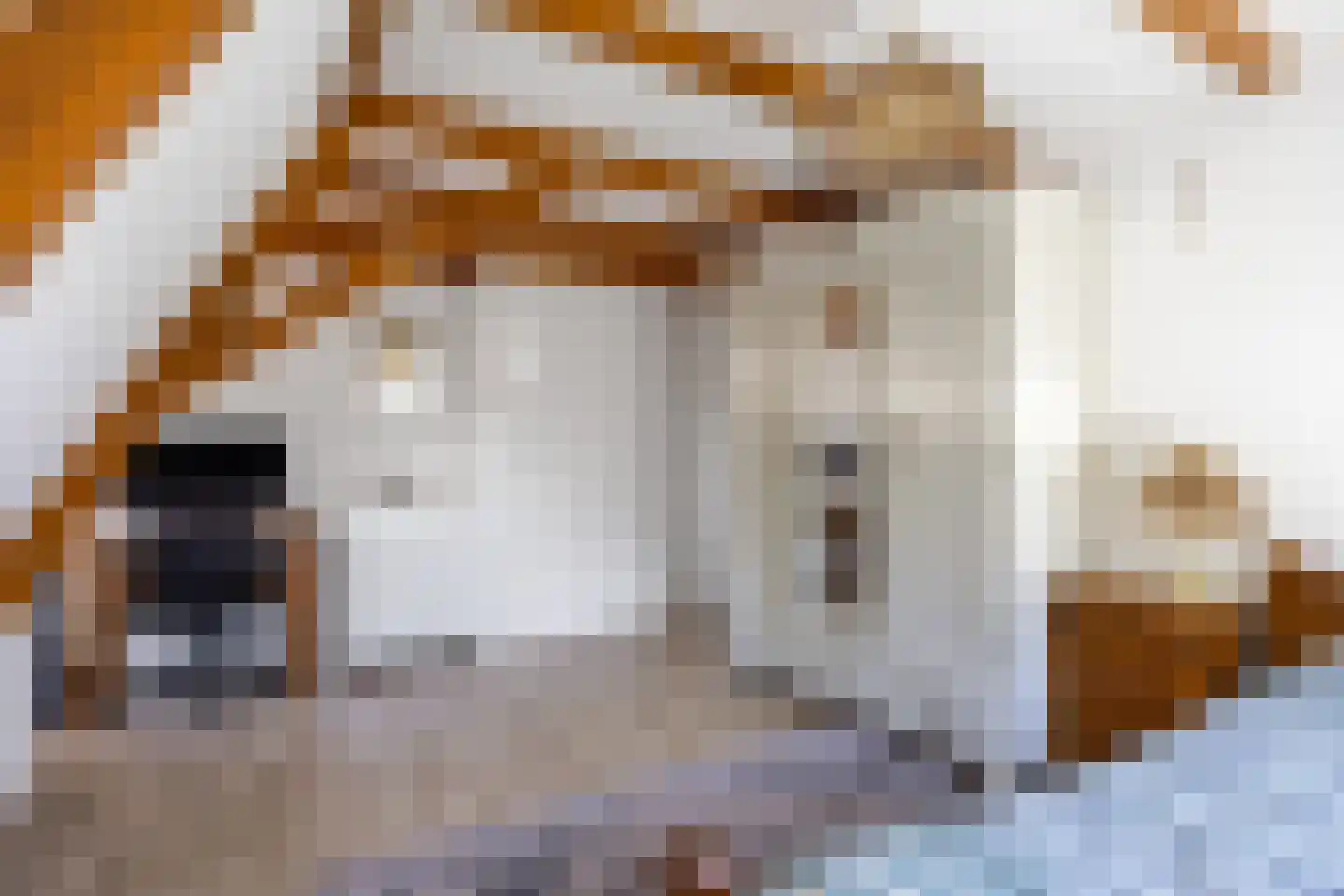 T P Oosterhoffstraat 2 Oldehove thumbnail 28