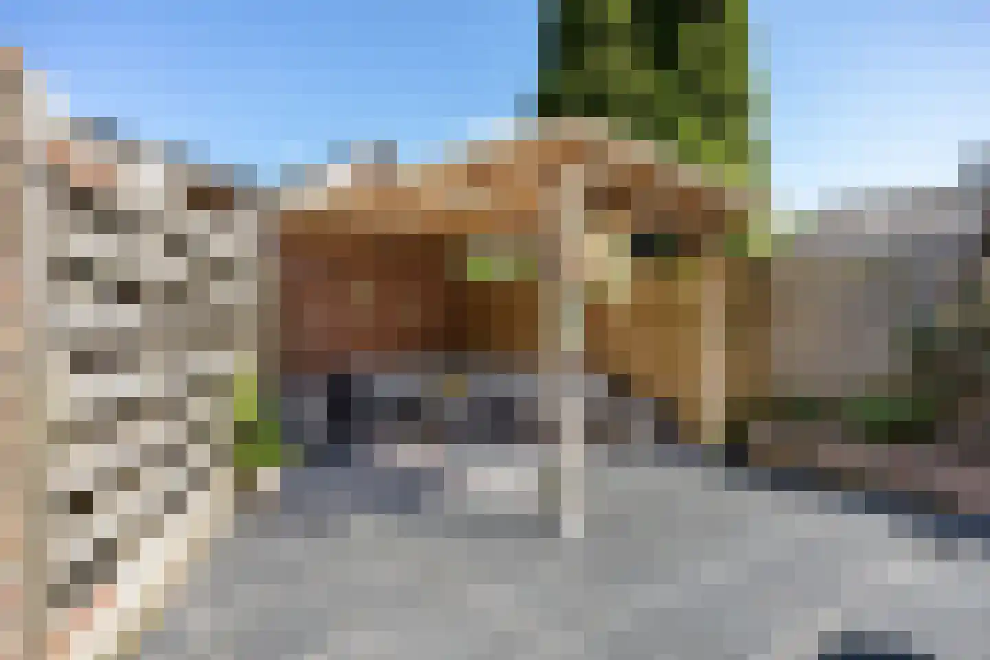 T P Oosterhoffstraat 2 Oldehove thumbnail 37