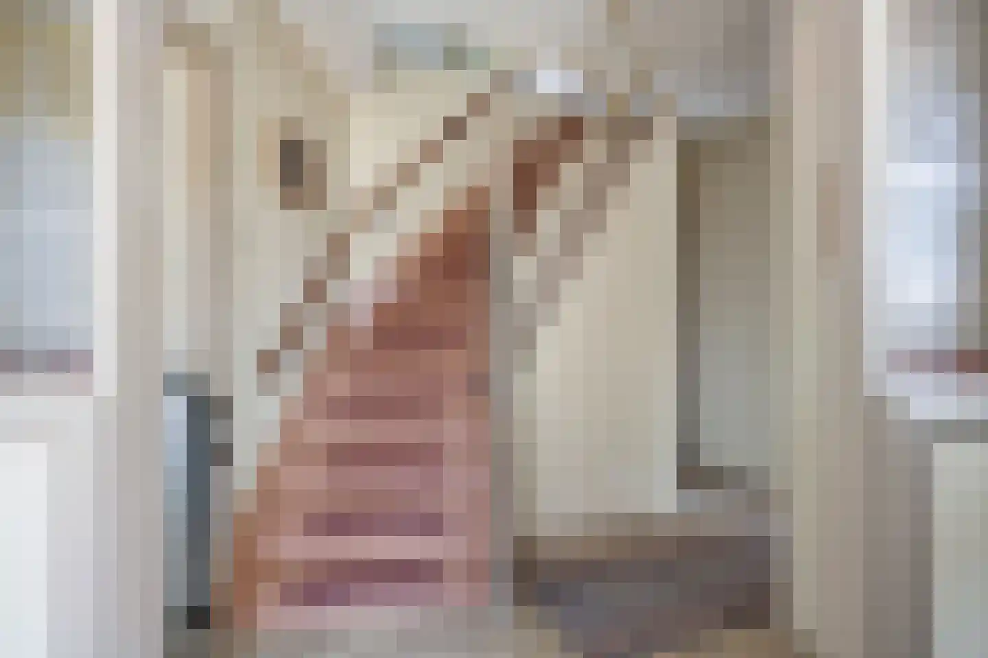 T P Oosterhoffstraat 2 Oldehove thumbnail 8