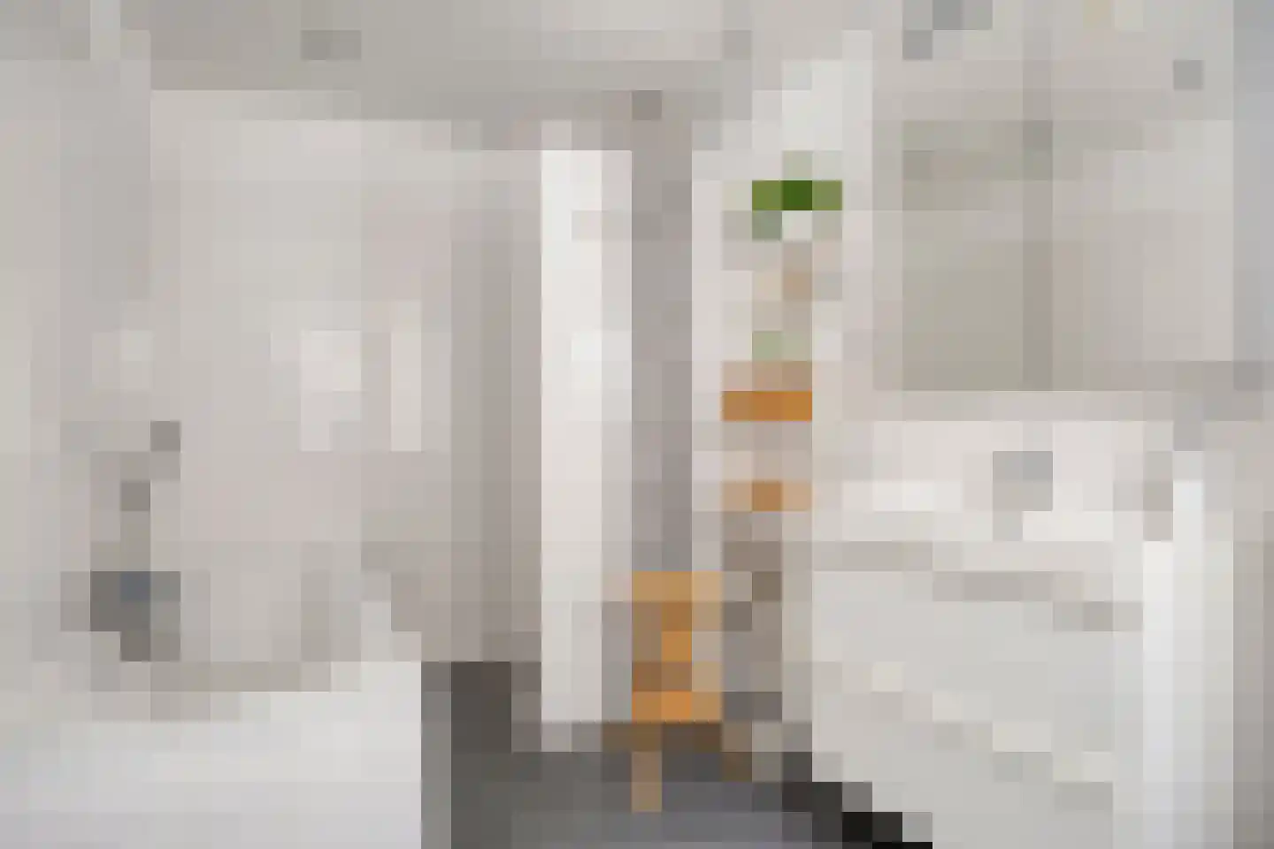 T P Oosterhoffstraat 5 Oldehove thumbnail 34
