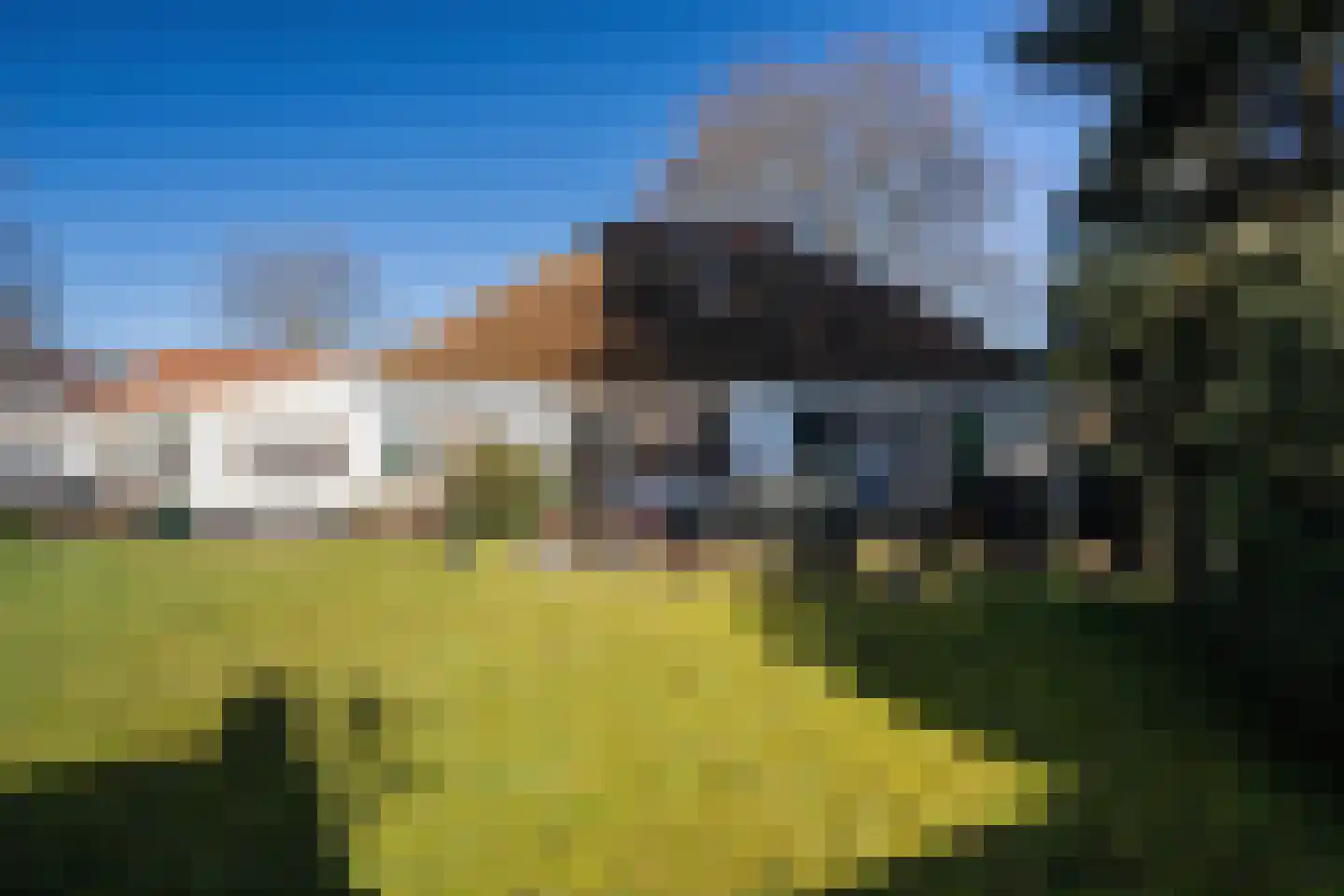 't Paadje 18 Laren thumbnail 21