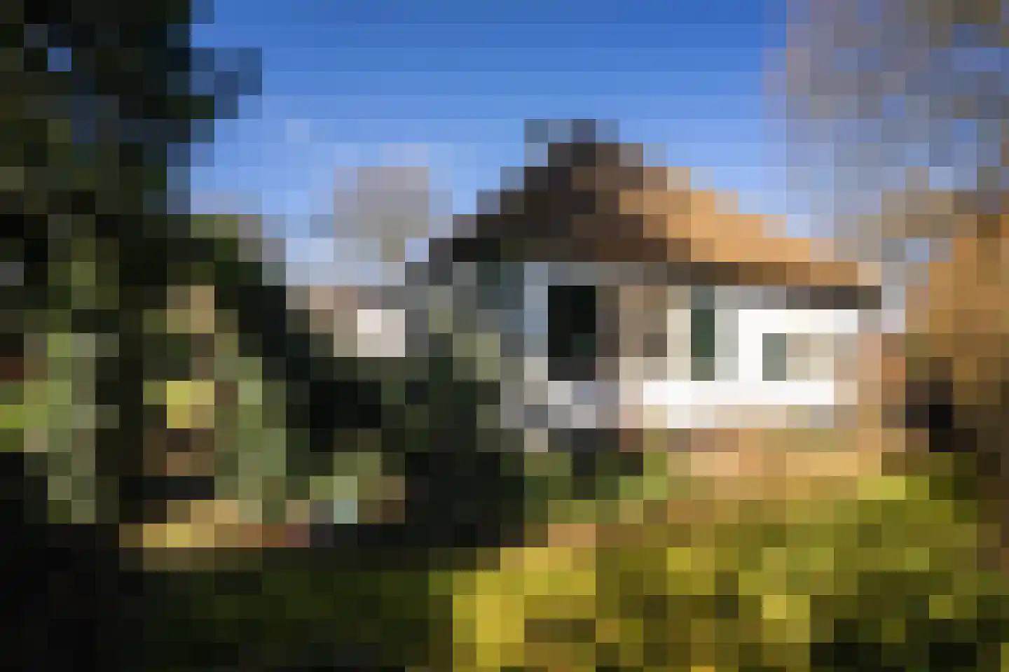 't Paadje 18 Laren thumbnail 25