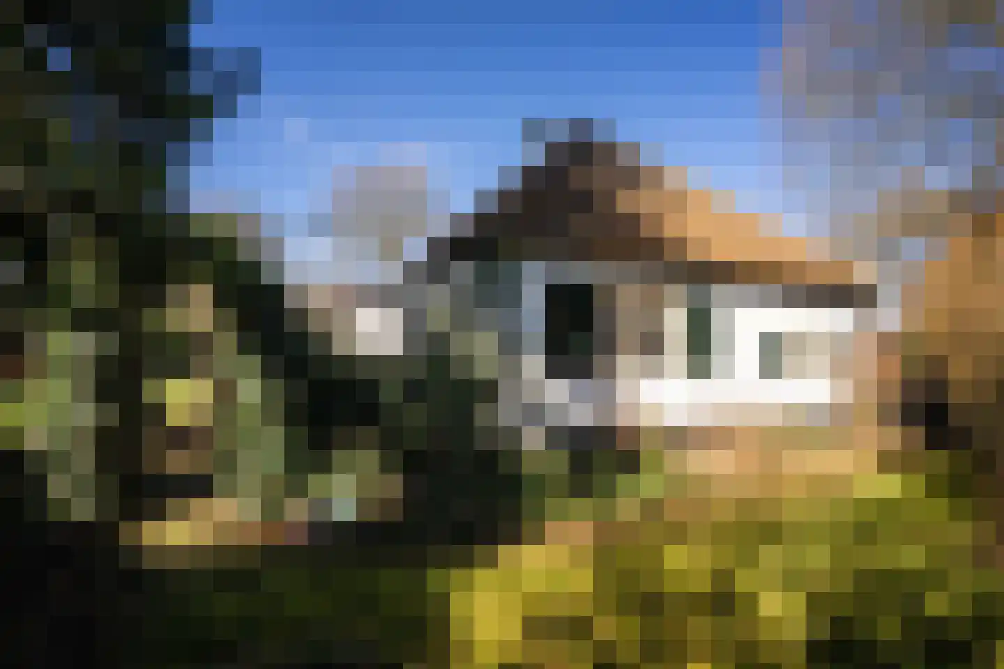 't Paadje 18 Laren thumbnail 25