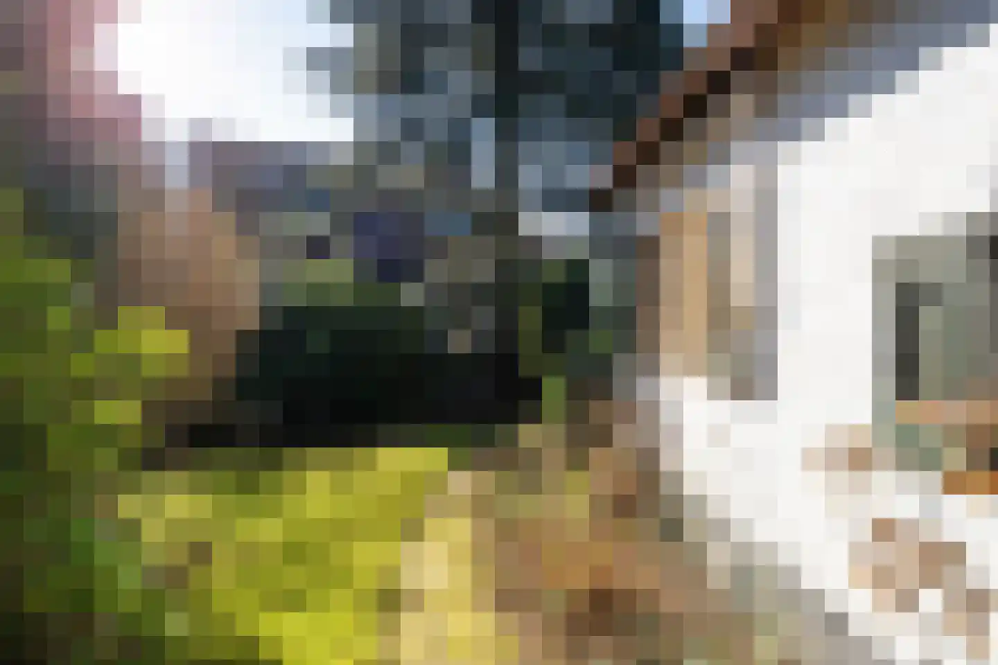 't Paadje 18 Laren thumbnail 26