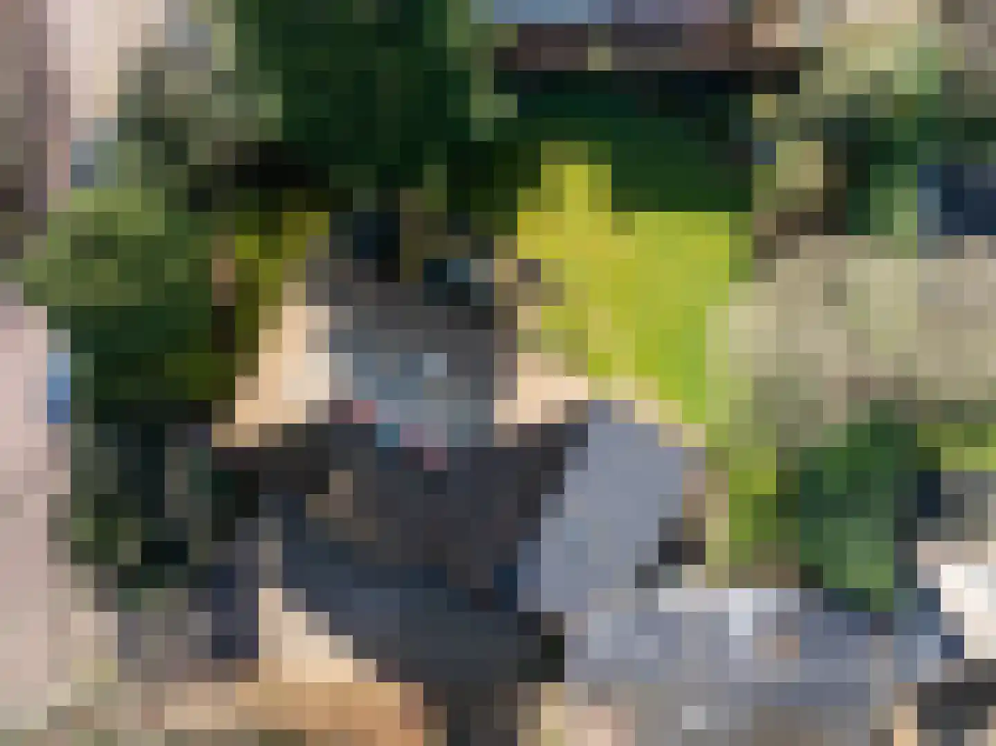 't Paadje 18 Laren thumbnail 27