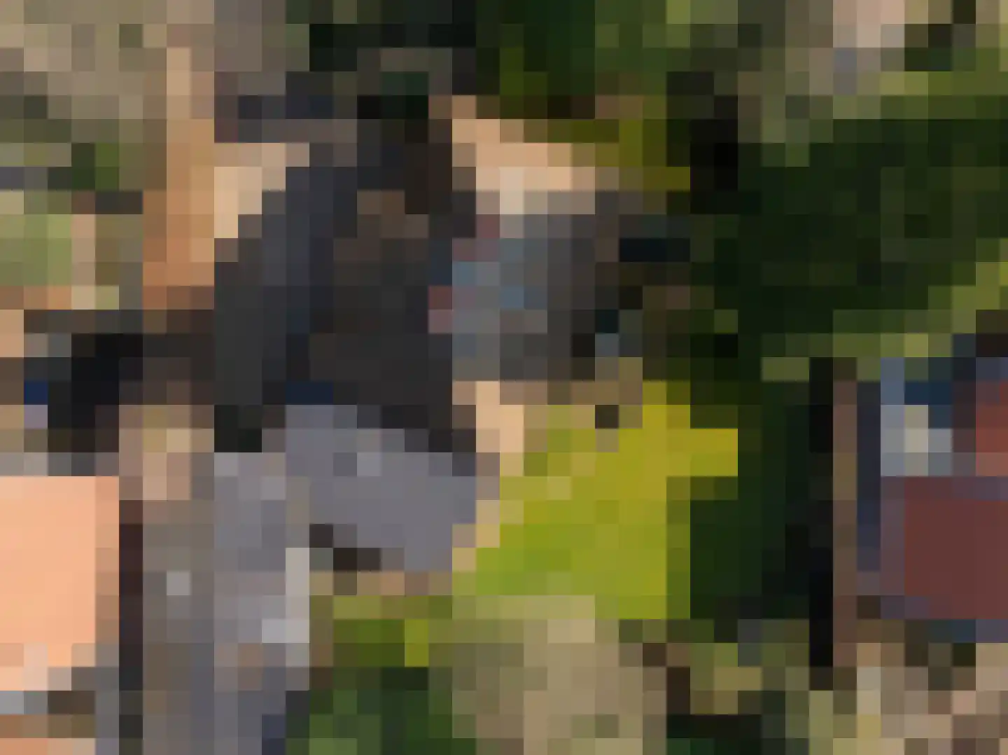 't Paadje 18 Laren thumbnail 28