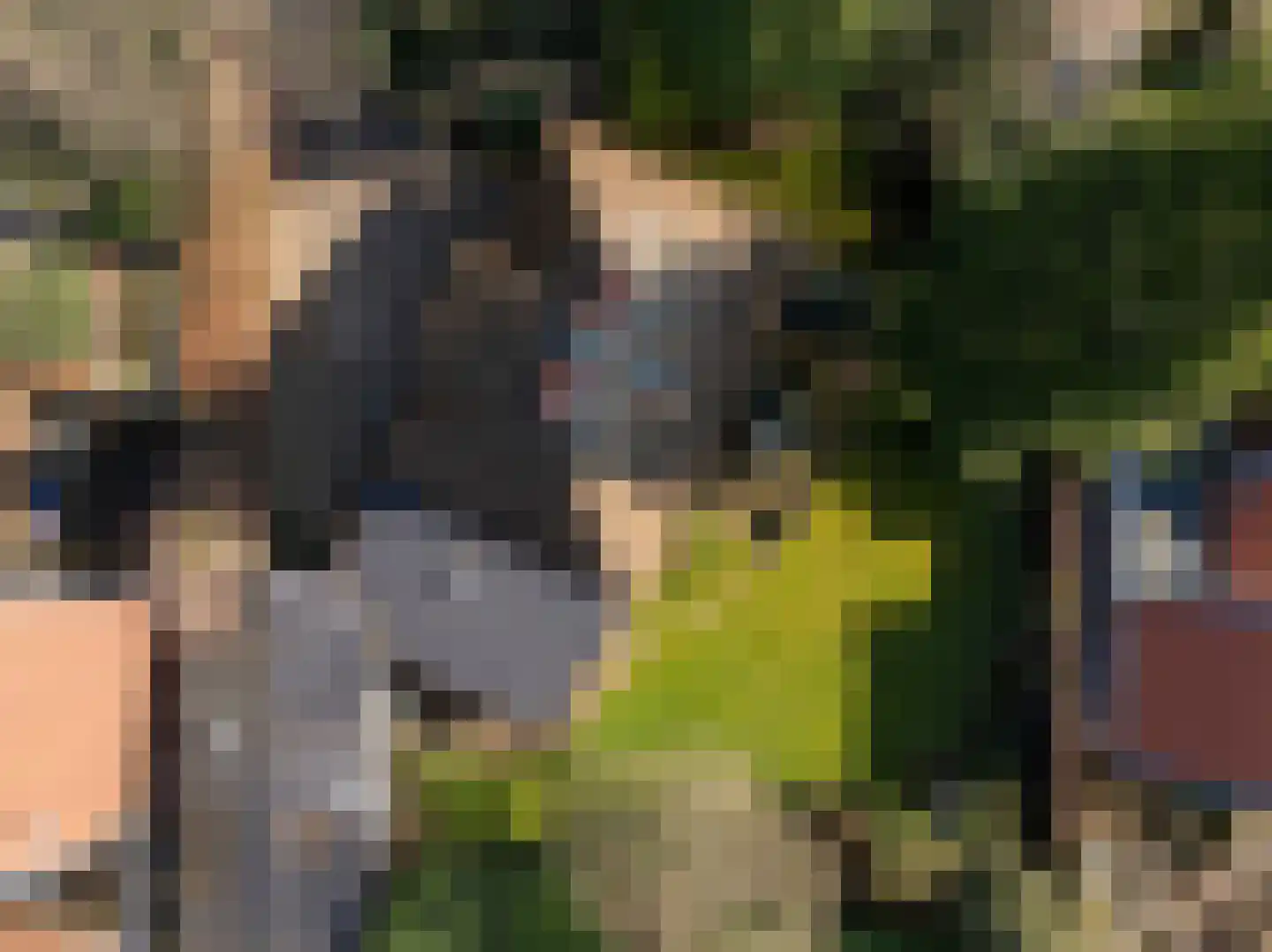 't Paadje 18 Laren thumbnail 28