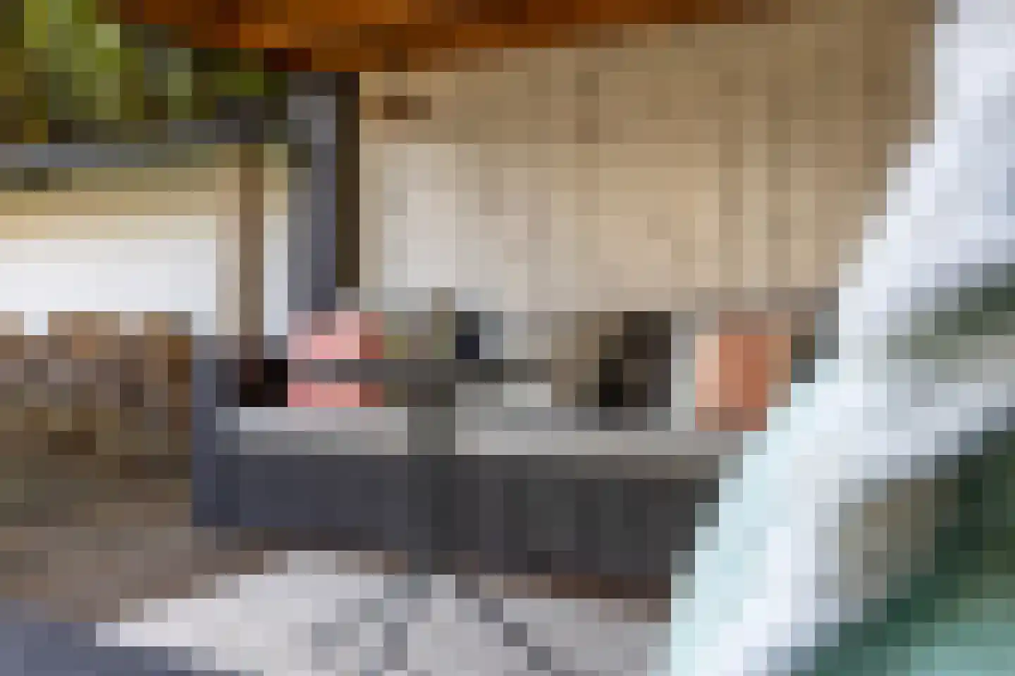 't Paadje 24 a Laren thumbnail 29