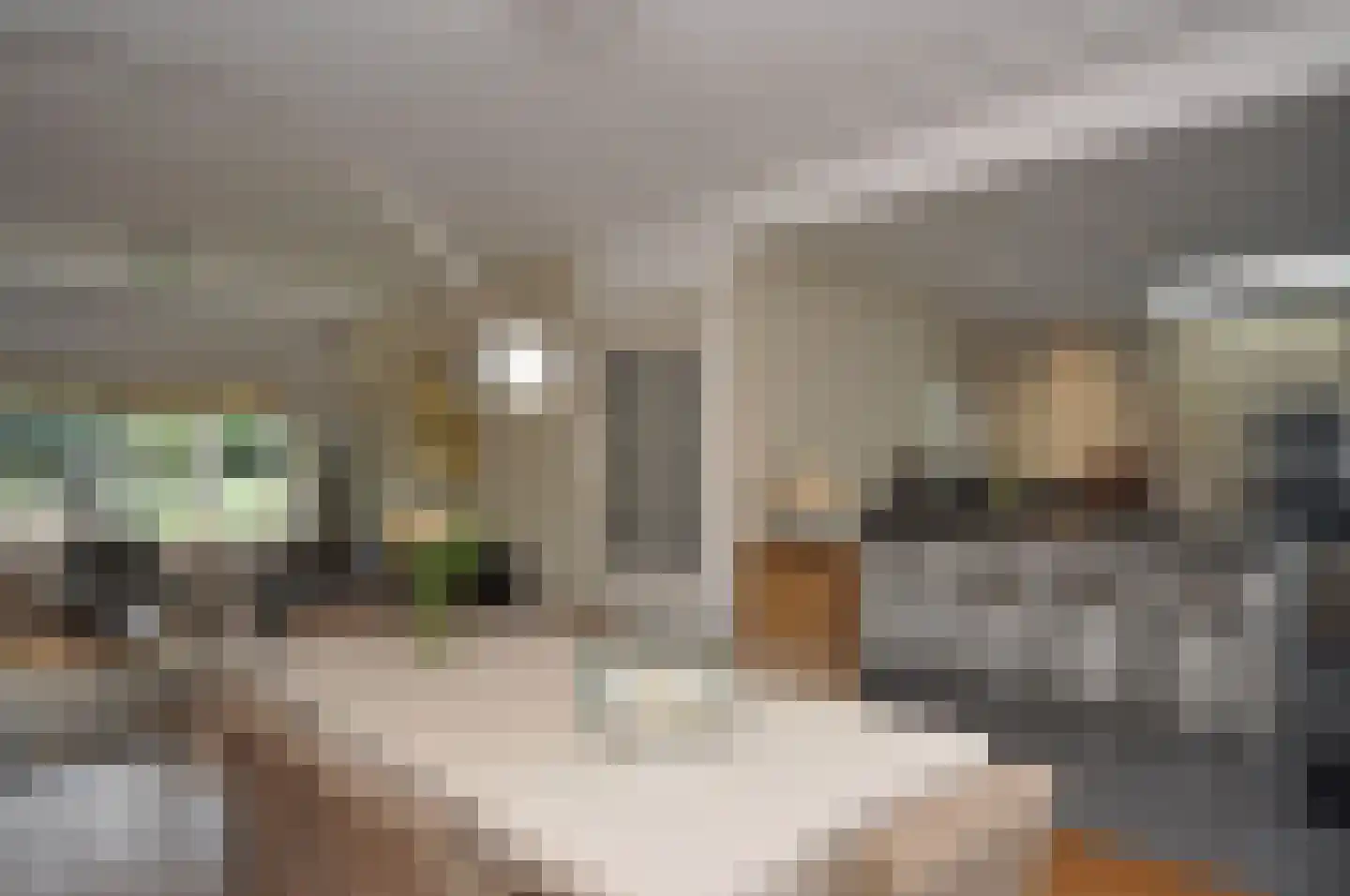 't Paadje 28 Laren thumbnail 10
