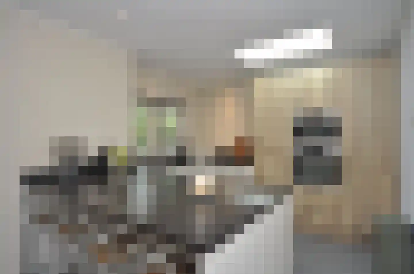 't Paadje 28 Laren thumbnail 12