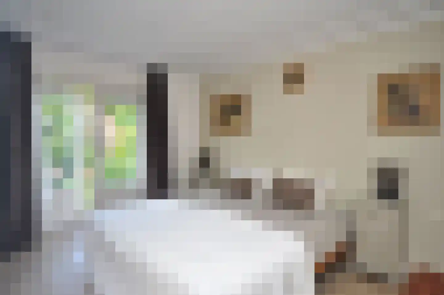 't Paadje 28 Laren thumbnail 15