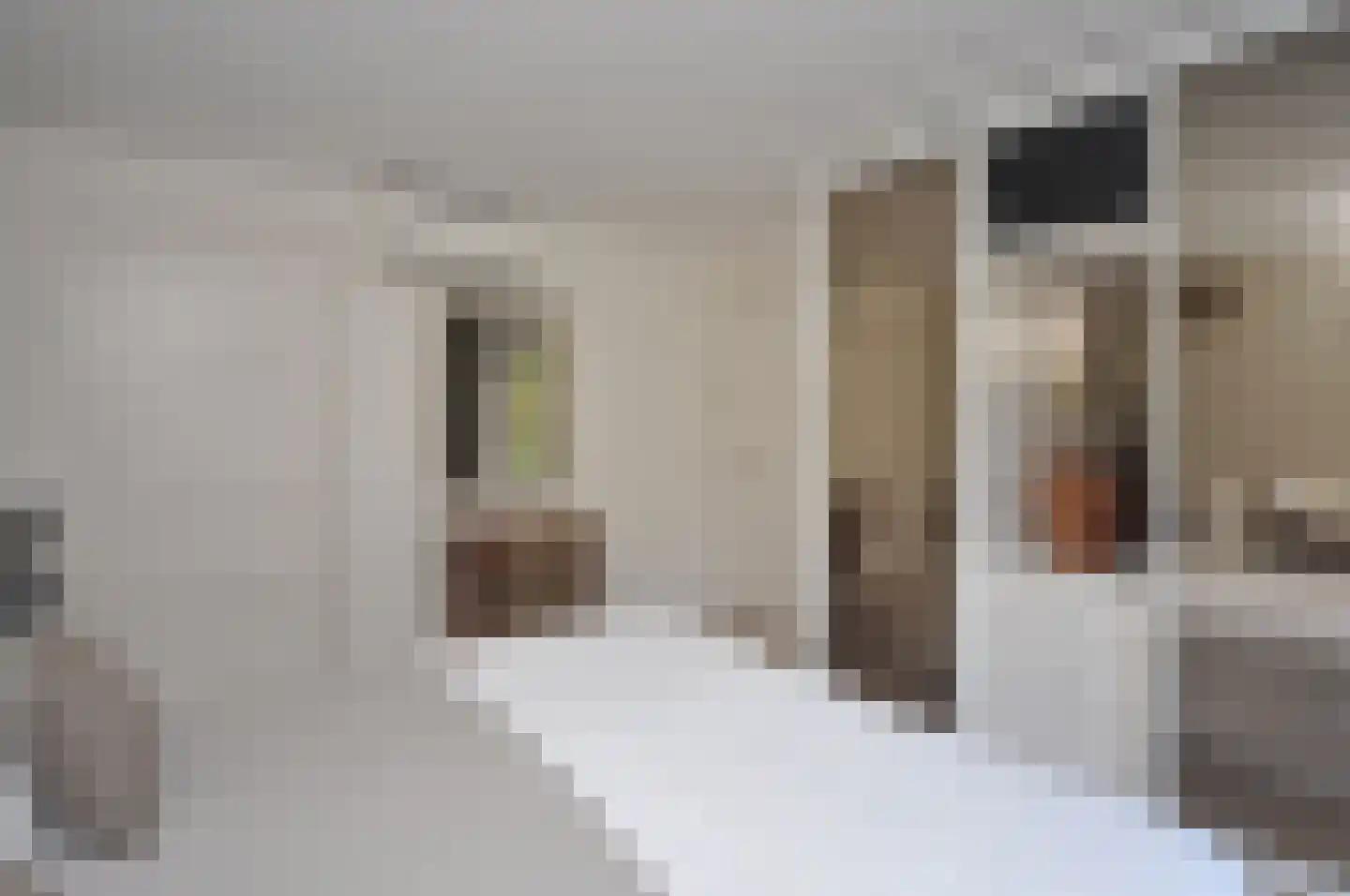 't Paadje 28 Laren thumbnail 16